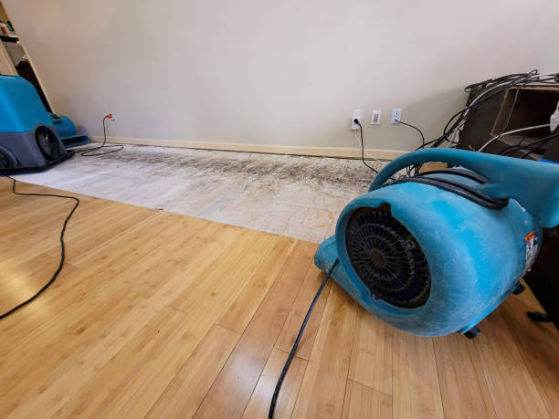 Professional Water Removal technician working in Deltona, FL